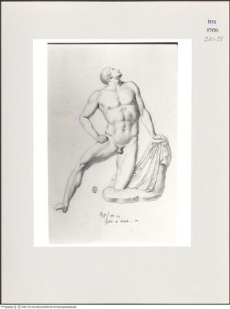 Vorderseite von Courtauld Institute, Conway Library [https://www.deutsche-digitale-bibliothek.de/content/lizenzen/rv-ez/] Sohn der Niobe (Statue, Uffizien, Florenz) - , bh567725_recto. Foto.
