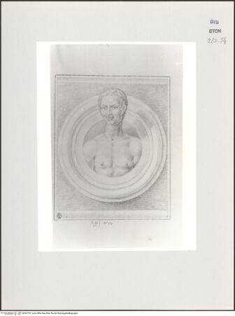 Vorderseite von Courtauld Institute, Conway Library [https://www.deutsche-digitale-bibliothek.de/content/lizenzen/rv-ez/] Büste eines Satyrs (Relieftondo, Villa Medici, Roma) - , bh567757_recto. Foto.