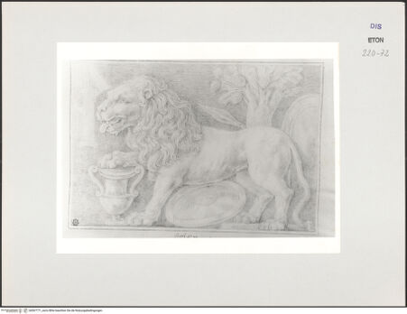 Vorderseite von Courtauld Institute, Conway Library [https://www.deutsche-digitale-bibliothek.de/content/lizenzen/rv-ez/] Löwe (Relief, Villa Medici, Roma) - , bh567771_recto. Foto.