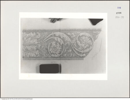 Vorderseite von Courtauld Institute, Conway Library [https://www.deutsche-digitale-bibliothek.de/content/lizenzen/rv-ez/] Zeichnungen nach einem Akanthusfries (Villa Medici, Rom)Linke Seite - , bh567798_recto. Foto.