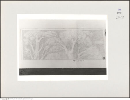 Vorderseite von Courtauld Institute, Conway Library [https://www.deutsche-digitale-bibliothek.de/content/lizenzen/rv-ez/] Serie von Zeichnungen nach einem antiken Relief (Villa Medici, Rom)Baumkronen (linker oberer Teil des Reliefs) - , bh567805_recto. Foto.