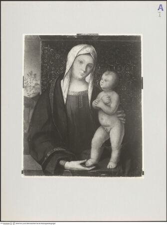 Vorderseite von bh567814_recto