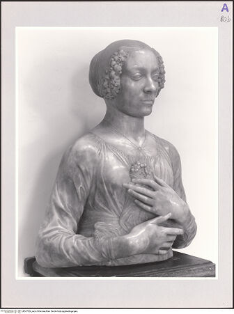 Vorderseite von bh567826_recto