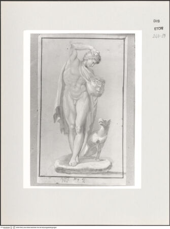 Vorderseite von Courtauld Institute, Conway Library [https://www.deutsche-digitale-bibliothek.de/content/lizenzen/rv-ez/] Jugendlicher Akt mit Hund (Meleager?) (Statue, Biblioteca Marciana?, Venedig?) - , bh567964_recto. Foto.