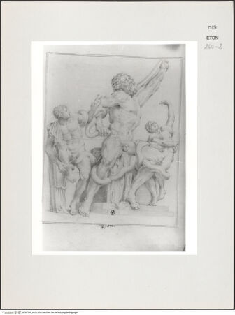 Vorderseite von Courtauld Institute, Conway Library [https://www.deutsche-digitale-bibliothek.de/content/lizenzen/rv-ez/] Laokoon (Statuengruppe, Vatikan) - , bh567996_recto. Foto.