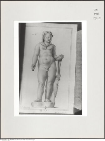 Vorderseite von Courtauld Institute, Conway Library [https://www.deutsche-digitale-bibliothek.de/content/lizenzen/rv-ez/] Junger Herkules (?) (Statue, Musei Capitolini, Rom) - , bh568000_recto. Foto.