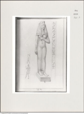 Vorderseite von Courtauld Institute, Conway Library [https://www.deutsche-digitale-bibliothek.de/content/lizenzen/rv-ez/] Tuja (Statue, Kapitol, Rom) - , bh568007_recto. Foto.