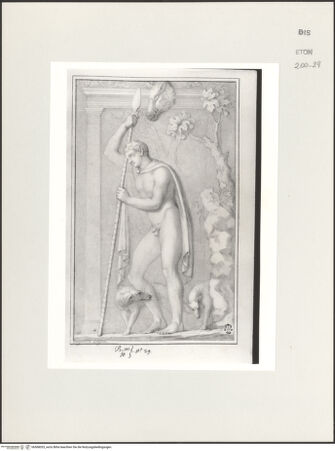 Vorderseite von Courtauld Institute, Conway Library [https://www.deutsche-digitale-bibliothek.de/content/lizenzen/rv-ez/] Adonis (Relief, Palazzo Spada, Rom) - , bh568033_recto. Foto.