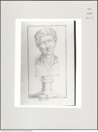 Vorderseite von Courtauld Institute, Conway Library [https://www.deutsche-digitale-bibliothek.de/content/lizenzen/rv-ez/] Büste eines jungen Mannes (Palazzo Spada, Rom) - , bh568042_recto. Foto.