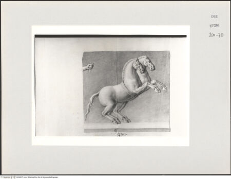 Vorderseite von Courtauld Institute, Conway Library [https://www.deutsche-digitale-bibliothek.de/content/lizenzen/rv-ez/] Zwei Pferde (Relieffragment, Galleria degli Uffizi, Florenz) - , bh568075_recto. Foto.