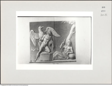 Vorderseite von Courtauld Institute, Conway Library [https://www.deutsche-digitale-bibliothek.de/content/lizenzen/rv-ez/] Der Raub des Ganymed (Relief, Galleria degli Uffizi, Florenz) - , bh568085_recto. Foto.