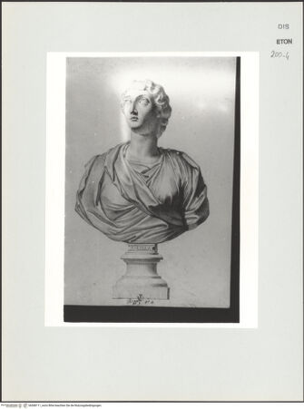 Vorderseite von Courtauld Institute, Conway Library [https://www.deutsche-digitale-bibliothek.de/content/lizenzen/rv-ez/] Büste der Lucilla (Palazzo Imperiali, Rom) - , bh568111_recto. Foto.