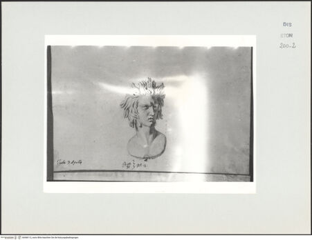 Vorderseite von Courtauld Institute, Conway Library [https://www.deutsche-digitale-bibliothek.de/content/lizenzen/rv-ez/] Kopf des Apollo (Palazzo Imperiali, Rom) - , bh568112_recto. Foto.