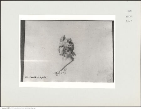 Vorderseite von Courtauld Institute, Conway Library [https://www.deutsche-digitale-bibliothek.de/content/lizenzen/rv-ez/] Kopf des Apollo im Profil (Palazzo Imperiali, Rom) - , bh568113_recto. Foto.