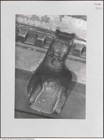 Vorderseite von bh568174_recto