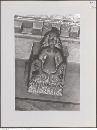 Vorderseite von bh568176_recto