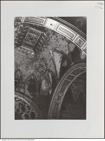 Vorderseite von bh568204_recto