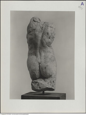 Vorderseite von bh568391_recto