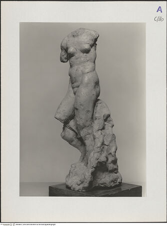 Vorderseite von bh568407_recto