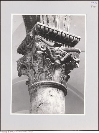 Vorderseite von bh568480_recto