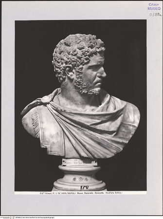 Vorderseite von Alinari [https://www.deutsche-digitale-bibliothek.de/content/lizenzen/rv-ez/] Büste des Caracalla - Seitenansicht, bh568602_recto. Foto.