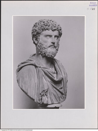 Vorderseite von Hewicker, Friedrich (Hamburg) [https://www.deutsche-digitale-bibliothek.de/content/lizenzen/rv-ez/] Männliche Büste (sog. Lucius Verus) - Seitenansicht, bh568604_recto. Foto: Hewicker, Friedrich.