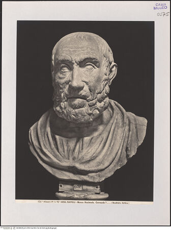 Vorderseite von Alinari [https://www.deutsche-digitale-bibliothek.de/content/lizenzen/rv-ez/] Büste des Hippokrates, Kopie nach einem griechischen Original aus dem 3. oder 2. Jahrhundert v. Chr. - Gesamtansicht, bh568609_recto. Foto.