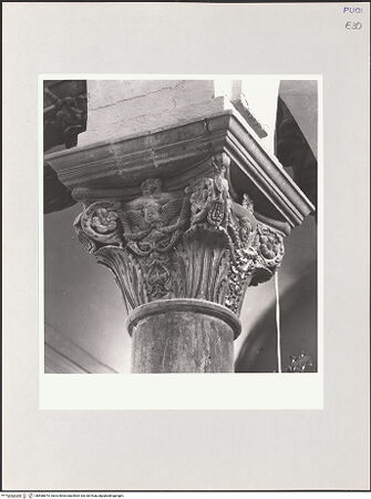 Vorderseite von bh568875_recto