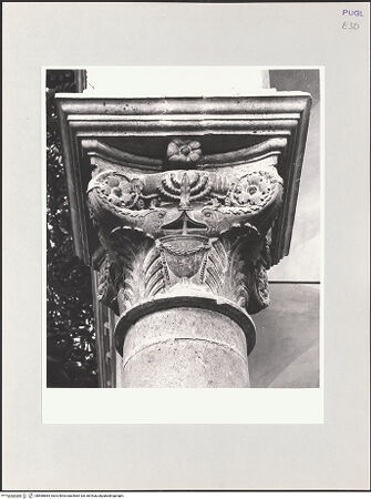 Vorderseite von bh568884_recto