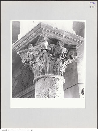 Vorderseite von bh568893_recto