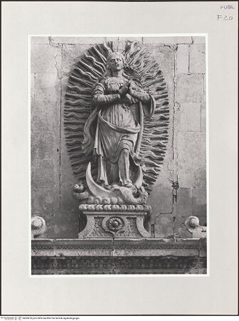 Vorderseite von bh569019_recto