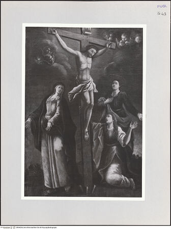 Vorderseite von bh569036_recto