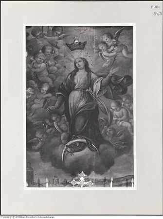 Vorderseite von bh569044_recto