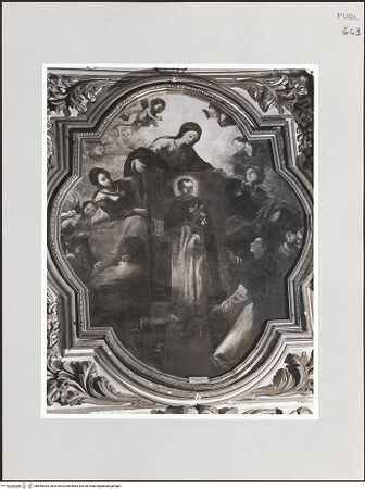 Vorderseite von bh569045_recto