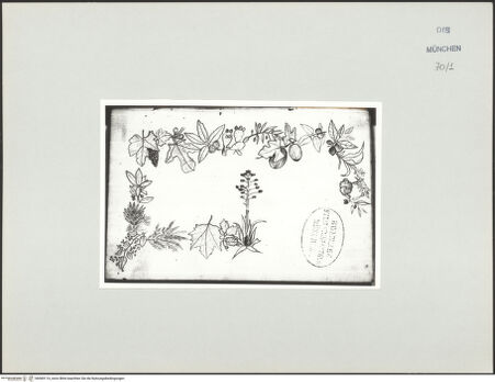 Vorderseite von Bibliotheca Hertziana [https://www.deutsche-digitale-bibliothek.de/content/lizenzen/rv-ez/] Korsika-SkizzenbuchPflanzen - , bh569114_recto. Foto.