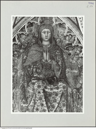 Vorderseite von bh569193_recto