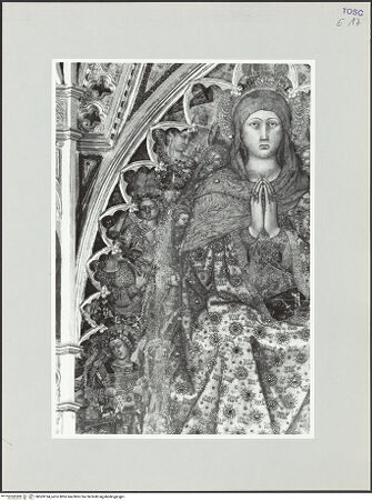 Vorderseite von bh569194_recto