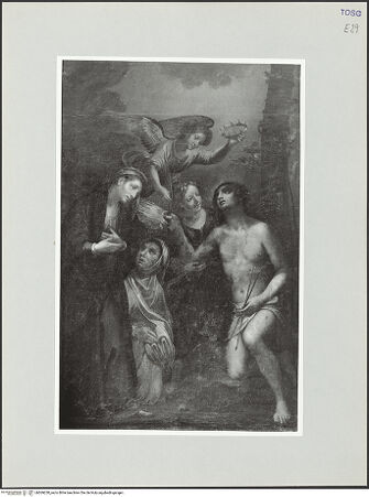 Vorderseite von bh569230_recto