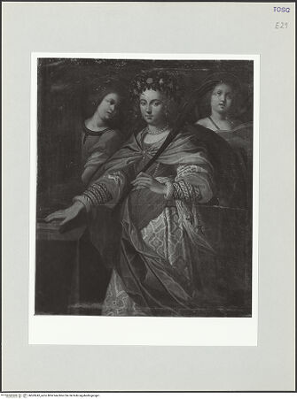 Vorderseite von bh569242_recto