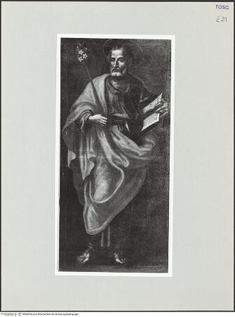 Vorderseite von bh569244_recto