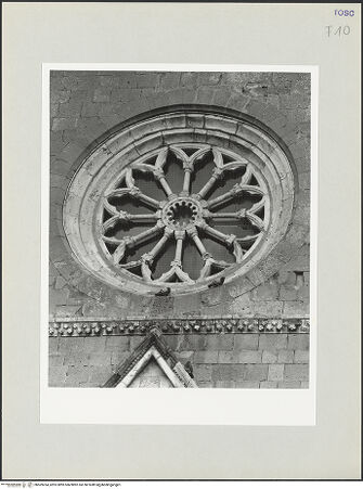 Vorderseite von bh569264_recto