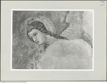 Vorderseite von bh569292_recto