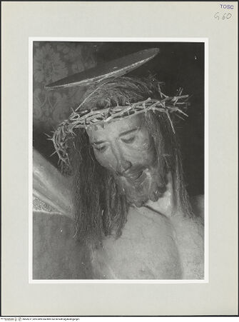 Vorderseite von bh569317_recto