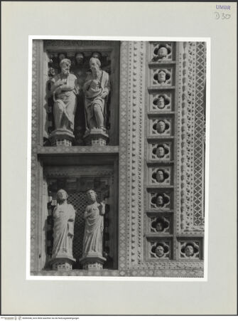 Vorderseite von bh569348_recto