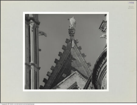 Vorderseite von bh569361_recto