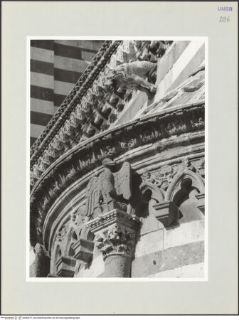 Vorderseite von bh569377_recto