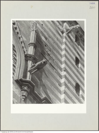 Vorderseite von bh569425_recto