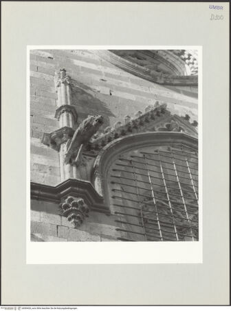 Vorderseite von bh569426_recto