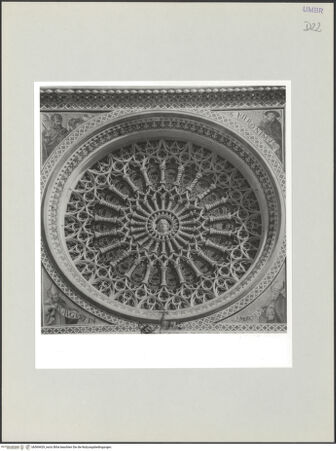 Vorderseite von bh569429_recto