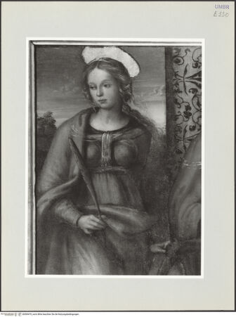 Vorderseite von bh569470_recto